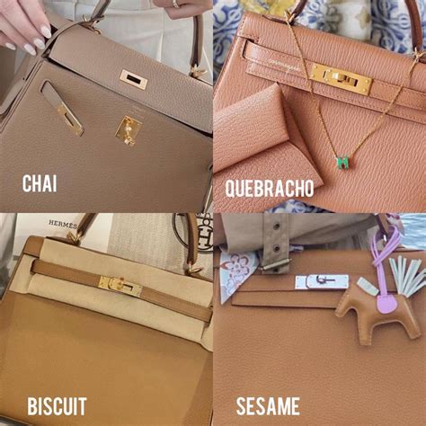 hermes birkin chai color|hermes chai undertone.